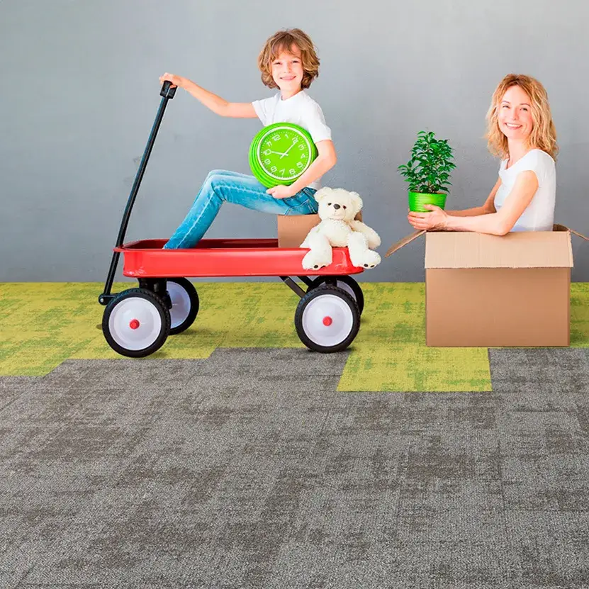 Voxflor Hub Collection Regeneration