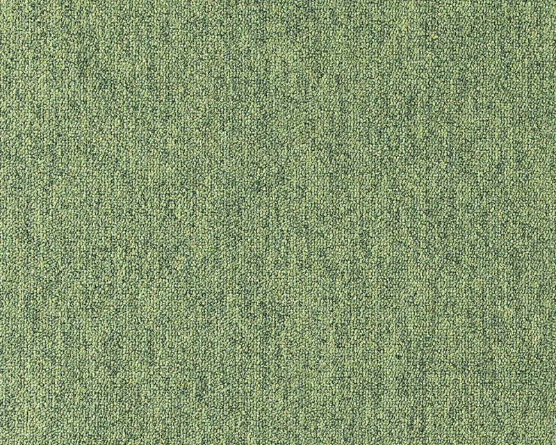 Durable Nylon Loop Pile Carpet – Green