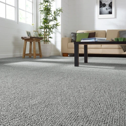 Vinyl Plain Carpet