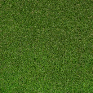 Abbeydale 35mm Artificial Grass