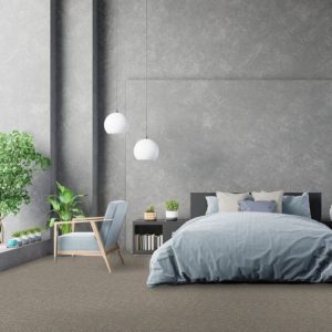Dove Grey Wall to Wall Carpet