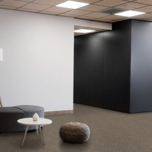 Silver Tone Wall to wall Carpet