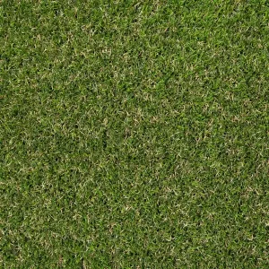 Askham 37mm Artificial Grass