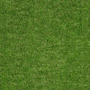Avebury 37mm Artificial Grass