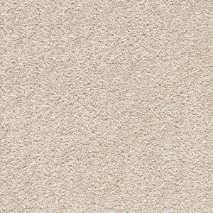 Light Beige Wall To Wall Carpets