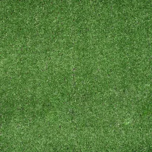 Budget Artificial Grass