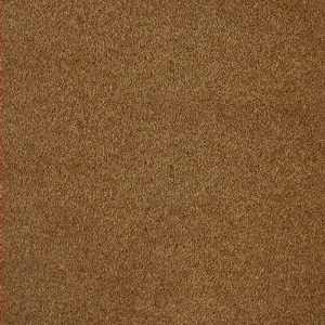 Golden Dune Wall To Wall Carpets