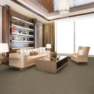 Medium Grey Wall to Wall carpet