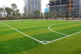 Artificial grass carpet Dubai