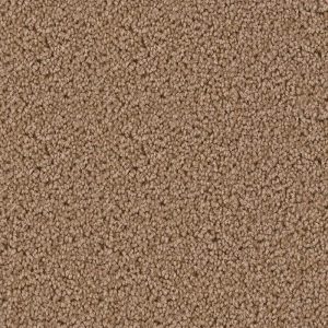 Coastal Earth Wall To Wall Carpets