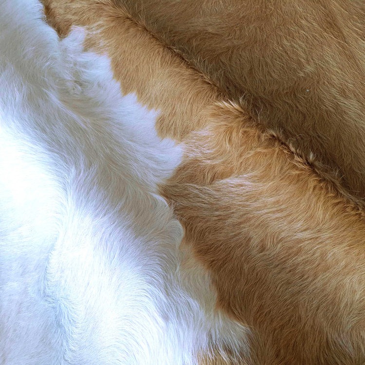 Palomino and White Brazilian Cowhide Rug LARGE - Image 2