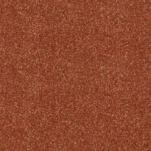 Rustic Red Wall To Wall Carpets