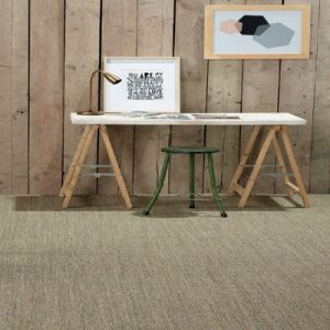 Grey Beige Sisal Carpets