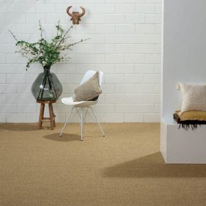 Beige Wall to Wall Sisal Carpets