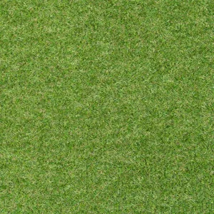 Trent 17mm Artificial Grass