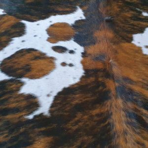 Tricolor Brazilian Cowhide Rug Large