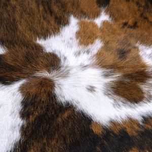 Tricolor Brazilian Cowhide Rugs (XL)