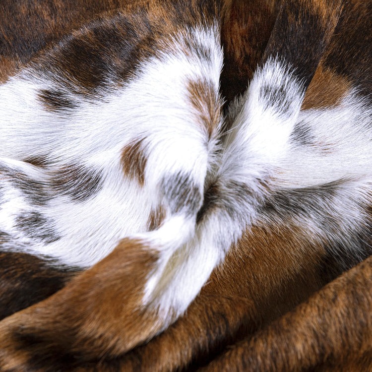 Tricolor Brazilian Cowhide Rug (XXL) - Image 2