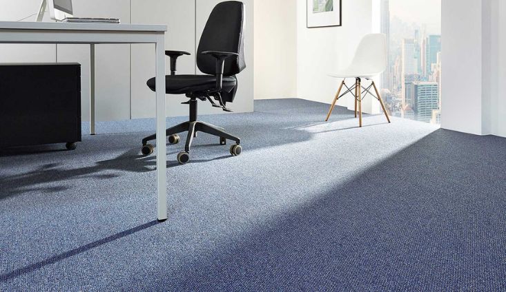 blue color carpets in office