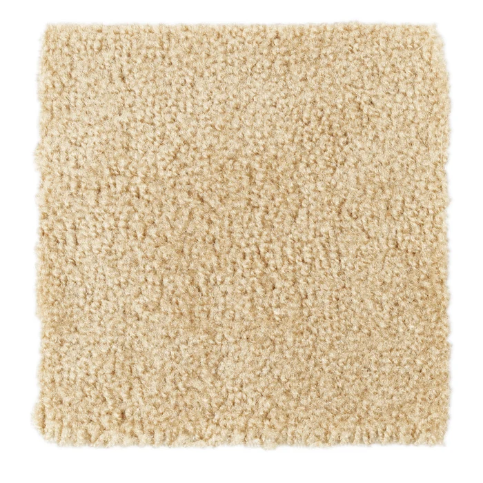 Beige Exhibition Carpet