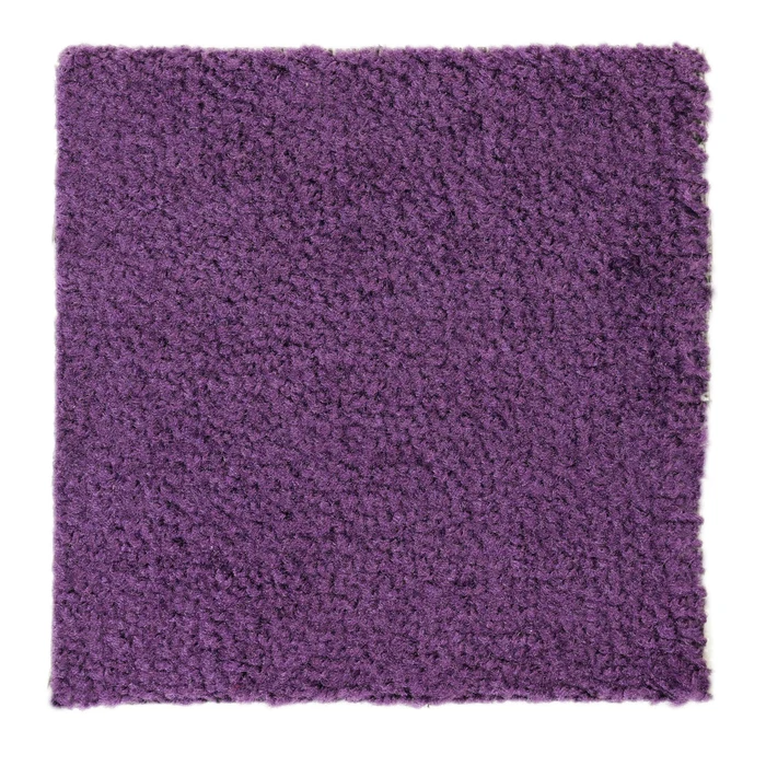 Purple Exhibition Carpet